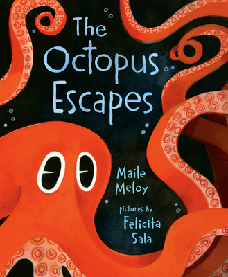 Book cover of The Octopus Escapes by Maile Meloy