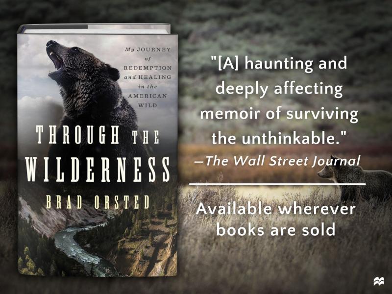Through The Wilderness: my journey of redemption and healing in the American wild by Brad Orsted. A quote from the Wall Street Journal calls the book A haunting and deeply affecting memoir of surviving the unthinkable. 